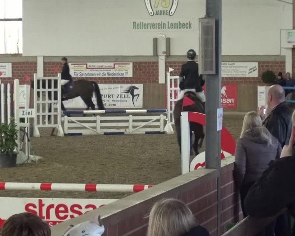 Reitturnier Lembeck 2017