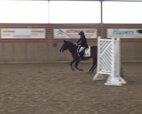 Reitturnier Lembeck 2017