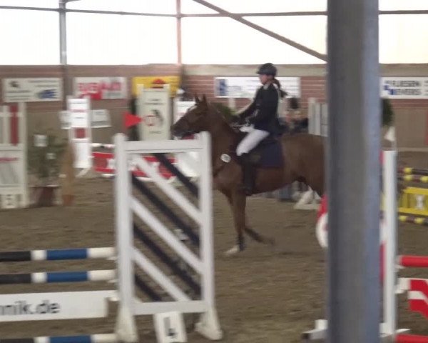 Reitturnier Lembeck 2017