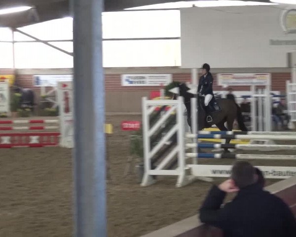 Reitturnier Lembeck 2017