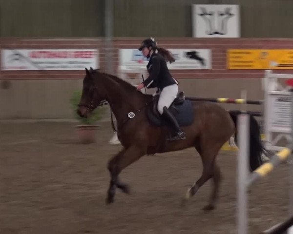 Reitturnier Lembeck 2017