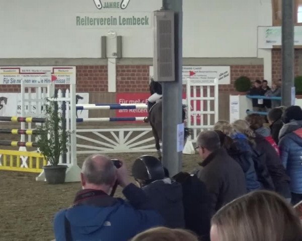 Reitturnier Lembeck 2017