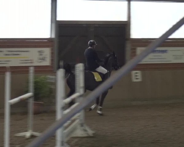 Reitturnier Lembeck 2017