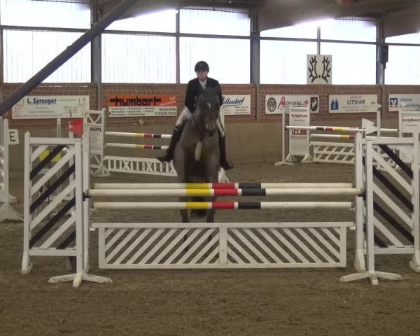Reitturnier Lembeck 2017