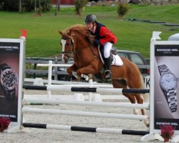 jumper Fuglekildes Cassandra (New Forest Pony, 1999, from Malibu II)