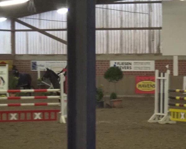 Reitturnier Lembeck 2017