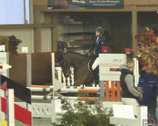 Reitturnier Dettingen 2017