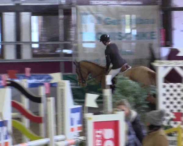 Hallenreitturnier Vlotho-Exter 2017