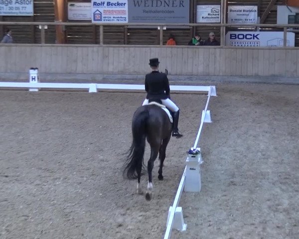 Reitturnier Heidelberg-Kirchheim 2017