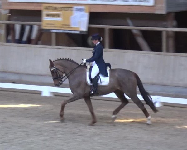 Reitturnier Heidelberg-Kirchheim 2017
