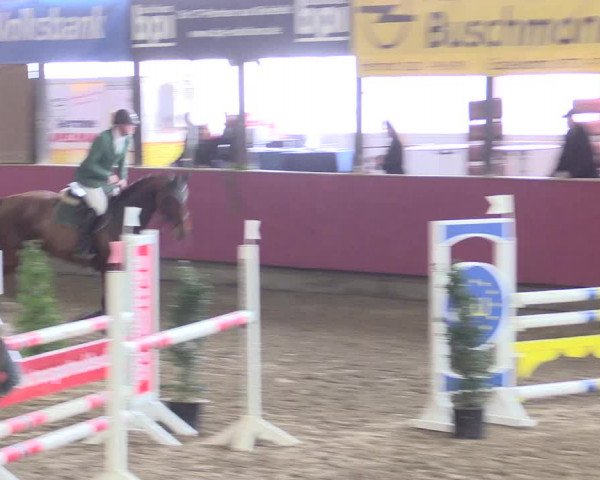 Hallenreitturnier Vlotho-Exter 2017