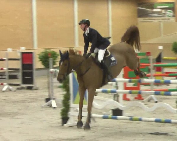 Reitturnier Illertissen 2017