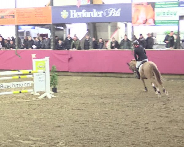 Hallenreitturnier Vlotho-Exter 2017