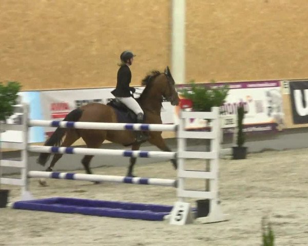Reitturnier Illertissen 2017