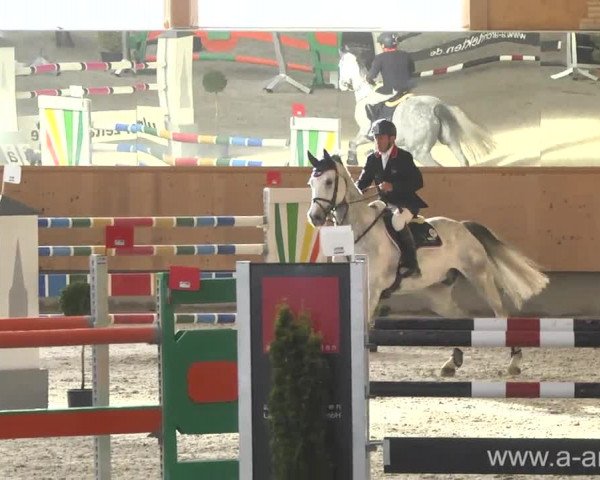 Reitturnier Illertissen 2017