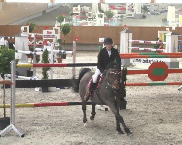 Reitturnier Illertissen 2017