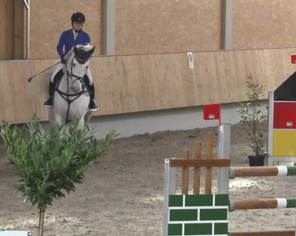 Reitturnier Illertissen 2017