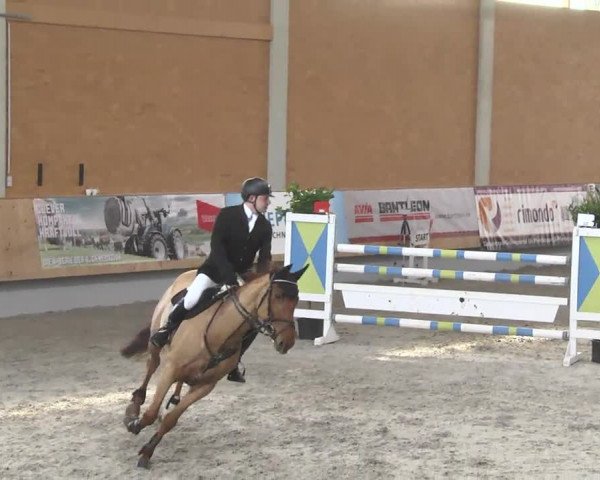 Reitturnier Illertissen 2017