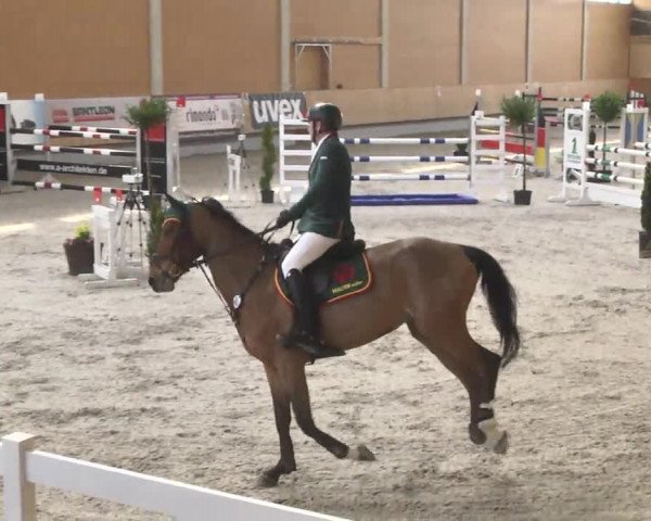 Reitturnier Illertissen 2017