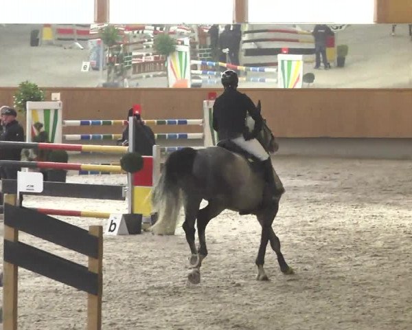 Reitturnier Illertissen 2017