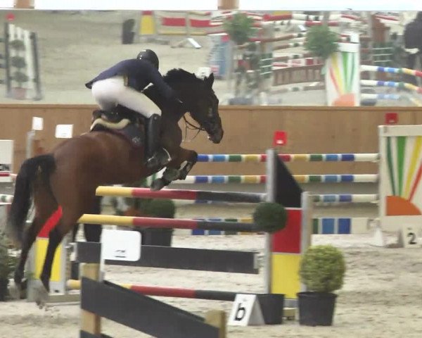 Reitturnier Illertissen 2017