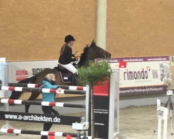 Reitturnier Illertissen 2017