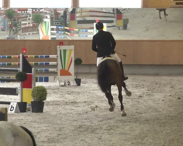 Reitturnier Illertissen 2017