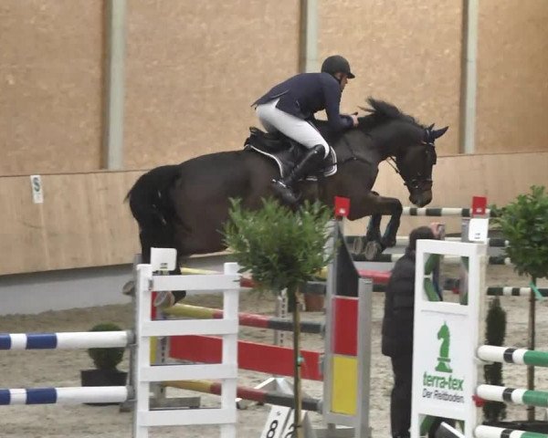 Reitturnier Illertissen 2017