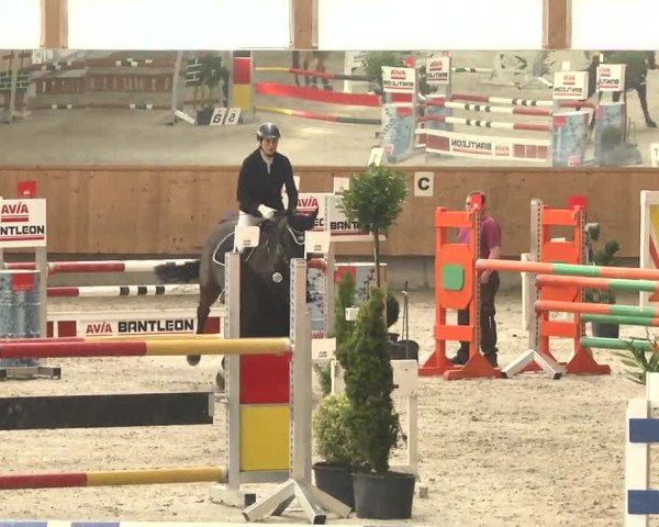 Reitturnier Illertissen 2017