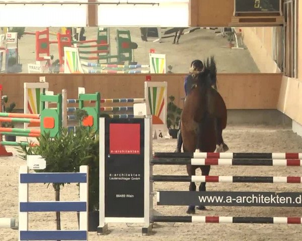 Reitturnier Illertissen 2017