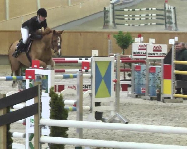 Reitturnier Illertissen 2017