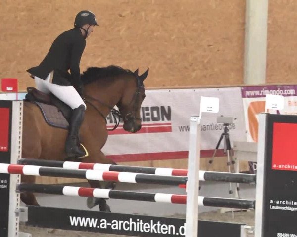 Reitturnier Illertissen 2017