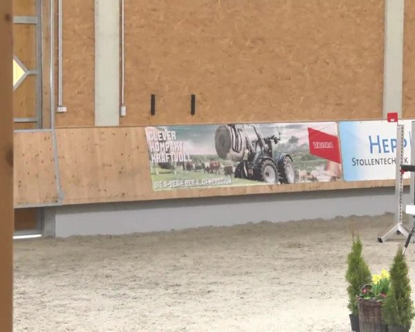 Reitturnier Illertissen 2017