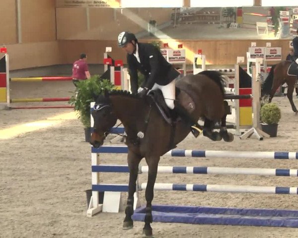 Reitturnier Illertissen 2017
