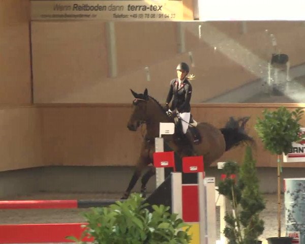 Reitturnier Illertissen 2017
