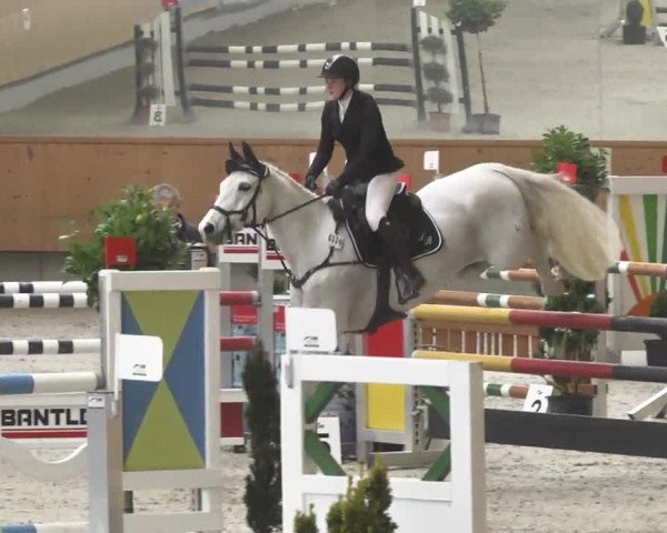 Reitturnier Illertissen 2017