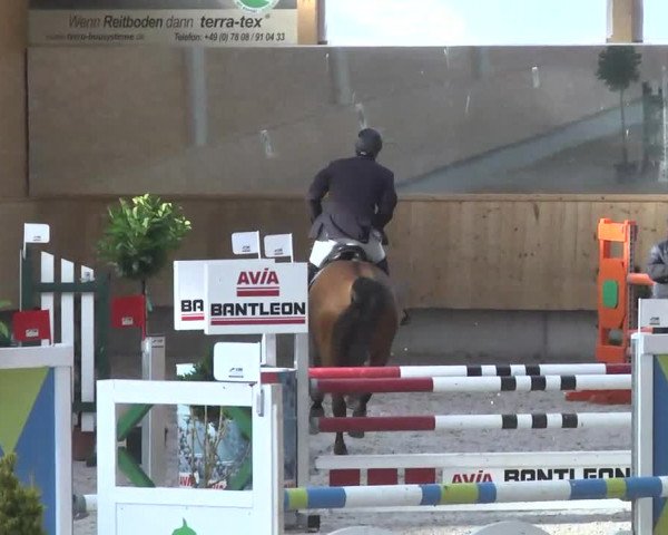 Reitturnier Illertissen 2017