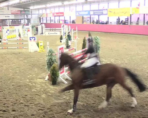 Hallenreitturnier Vlotho-Exter 2017