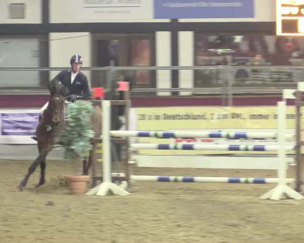 Hallenreitturnier Vlotho-Exter 2017