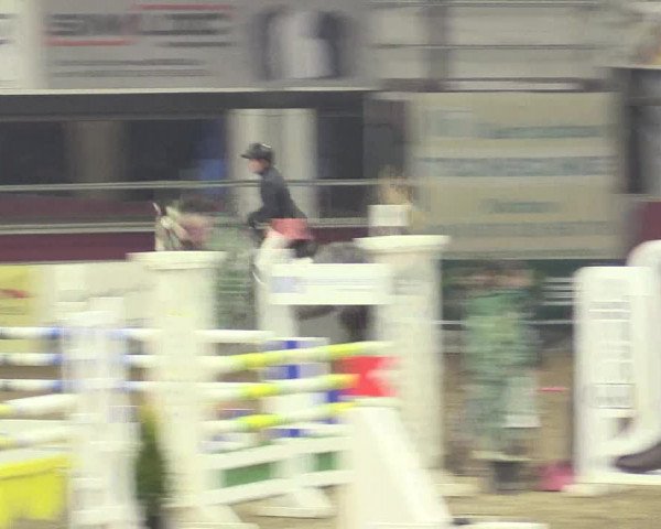 Hallenreitturnier Vlotho-Exter 2017