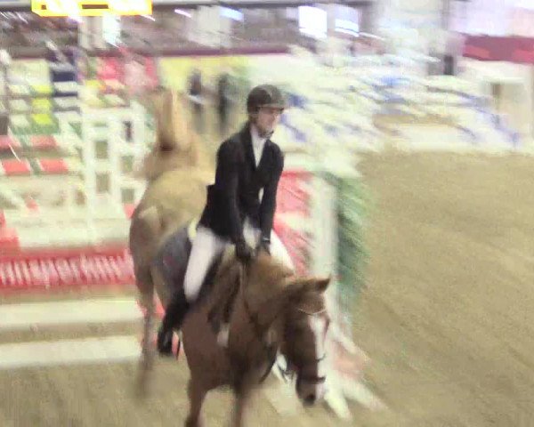Hallenreitturnier Vlotho-Exter 2017