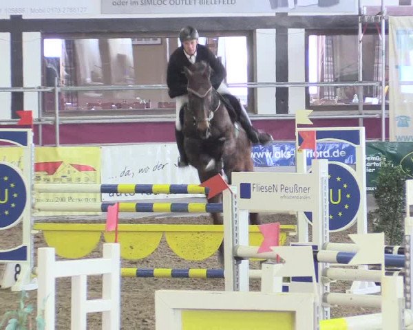 Hallenreitturnier Vlotho-Exter 2017