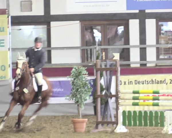 Hallenreitturnier Vlotho-Exter 2017