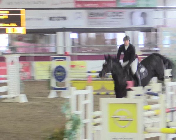 Hallenreitturnier Vlotho-Exter 2017