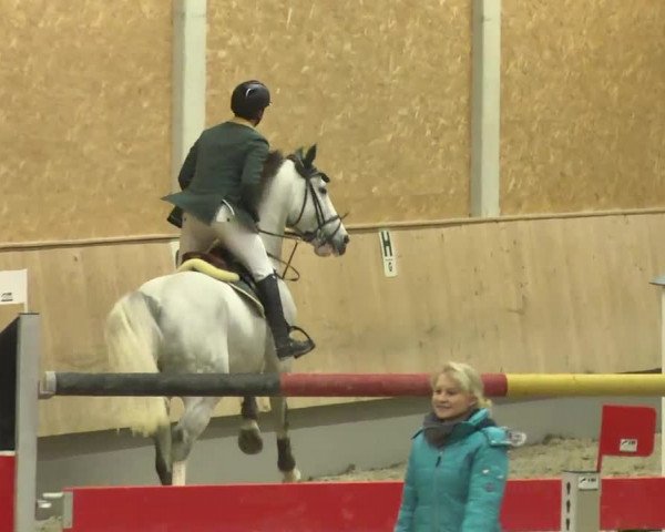 Reitturnier Illertissen 2017
