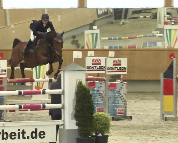 Reitturnier Illertissen 2017
