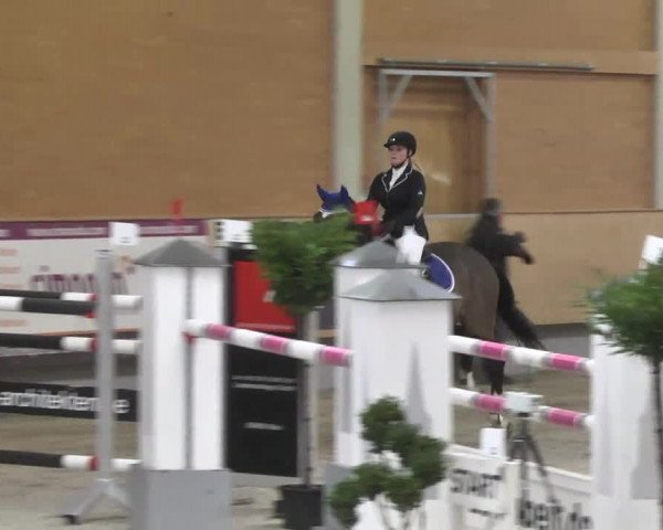Reitturnier Illertissen 2017