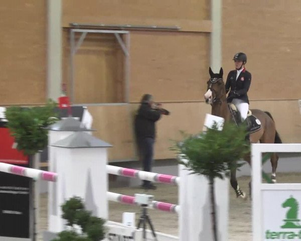 Reitturnier Illertissen 2017