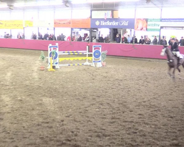 Hallenreitturnier Vlotho-Exter 2017