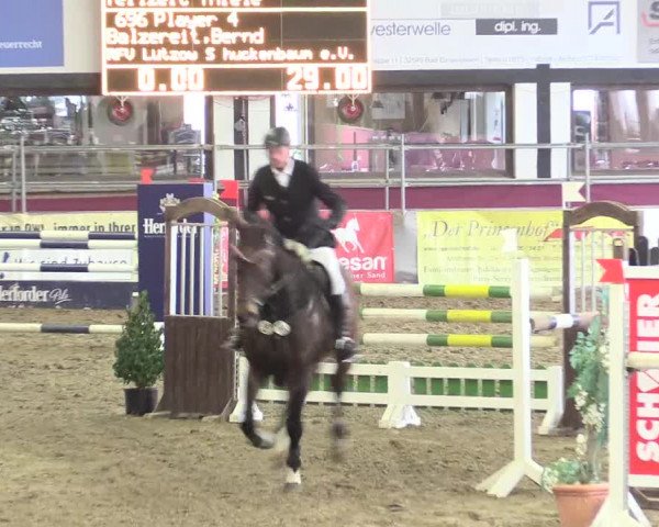 Hallenreitturnier Vlotho-Exter 2017